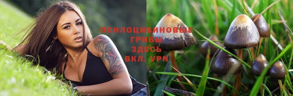 индика Майский
