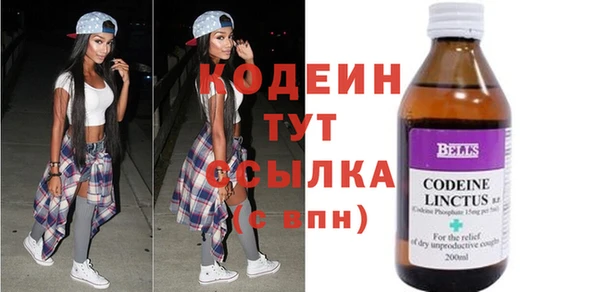 индика Майский