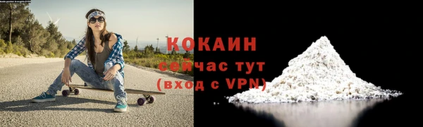 индика Майский