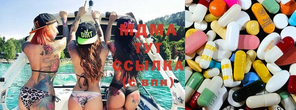 индика Майский