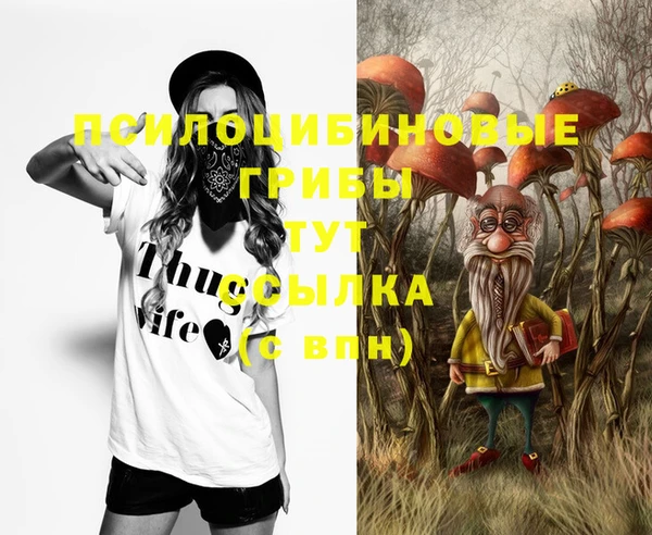 ECSTASY Магас
