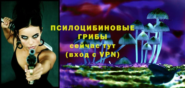 индика Майский