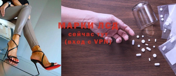 индика Майский