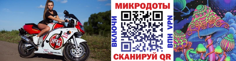 Псилоцибиновые грибы мицелий Отрадный